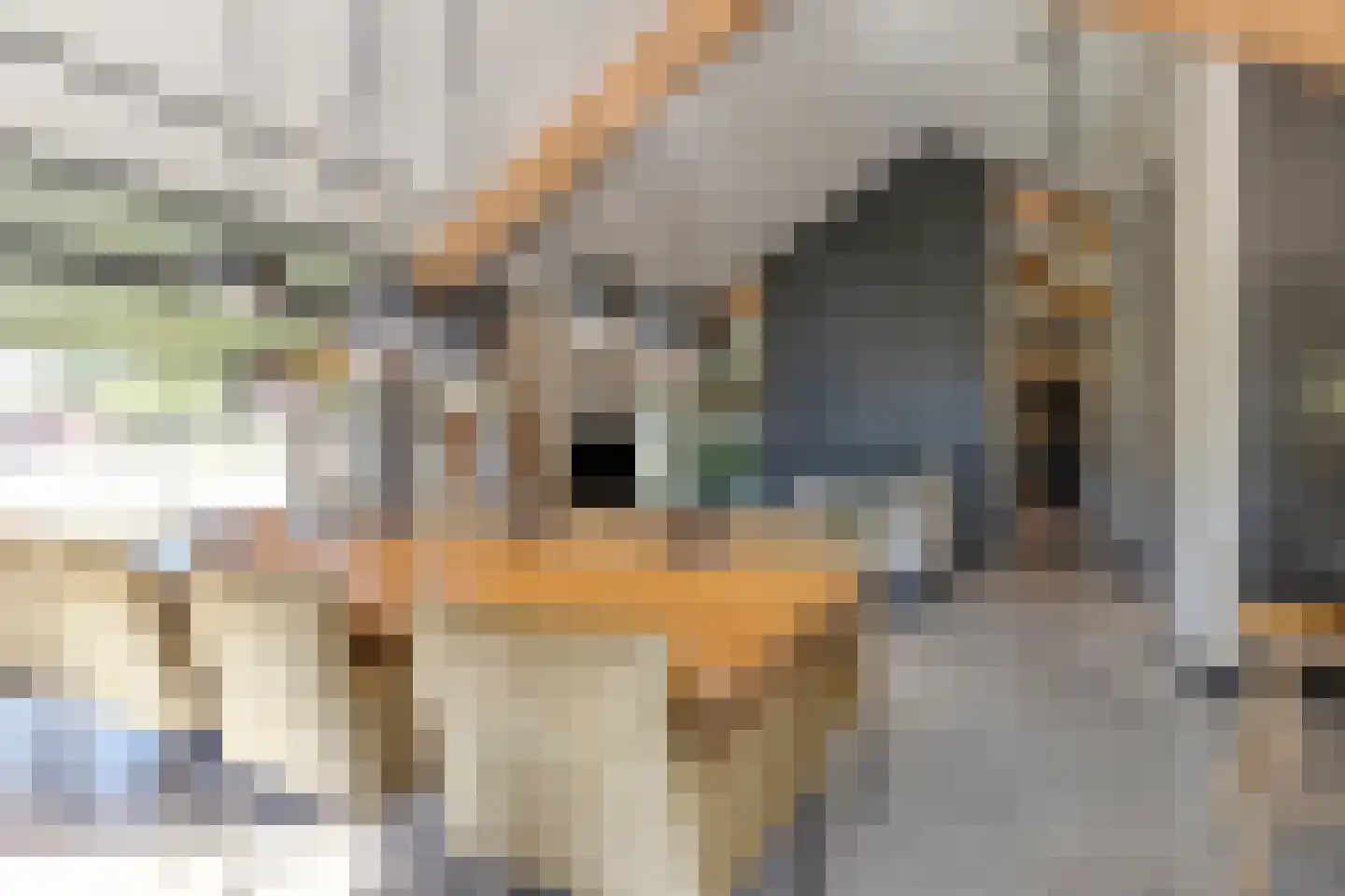 Kruigenstraat 12 B Veghel thumbnail 21