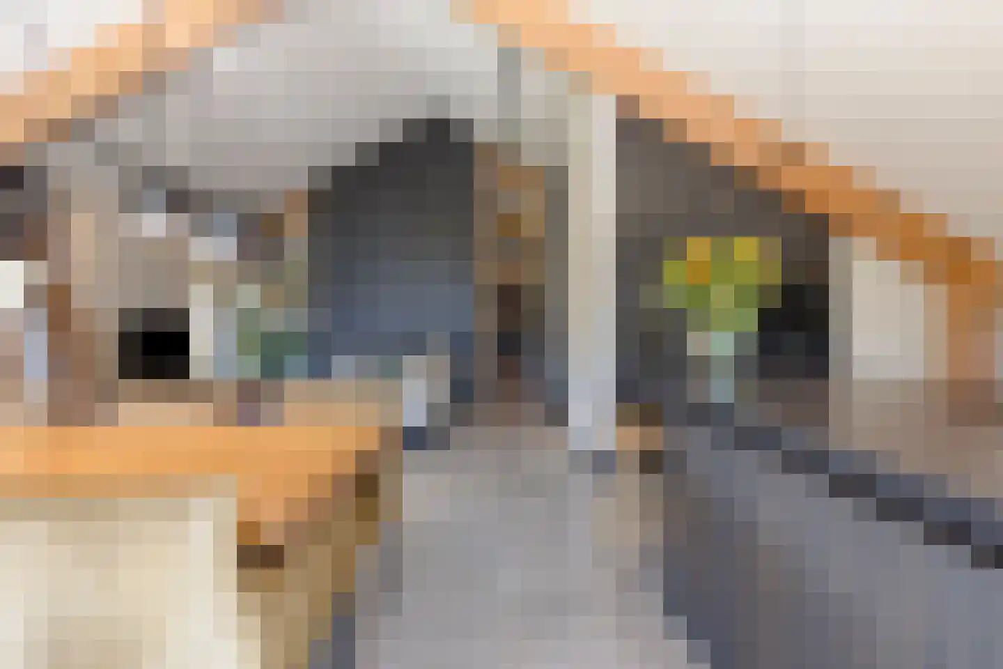Kruigenstraat 12 B Veghel thumbnail 22