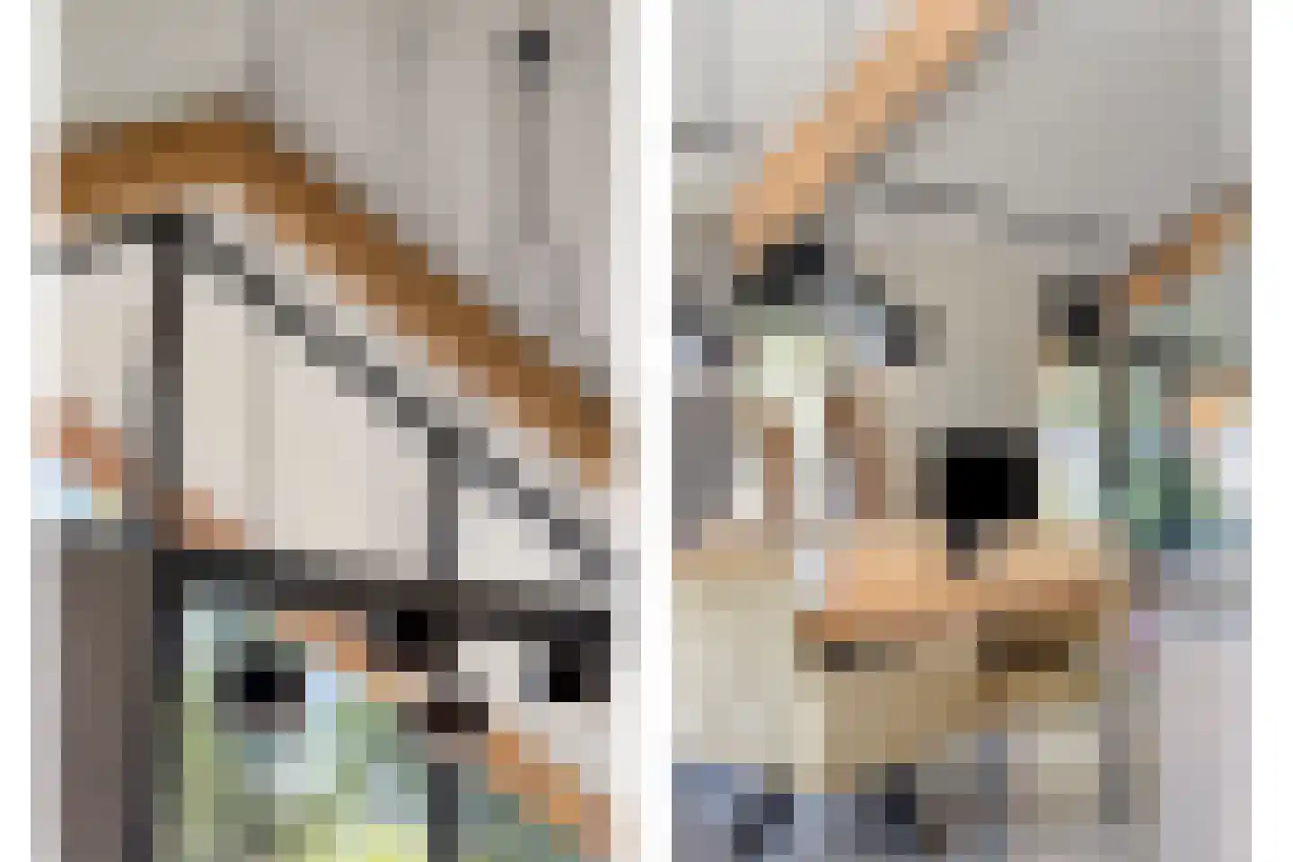 Kruigenstraat 12 B Veghel thumbnail 24