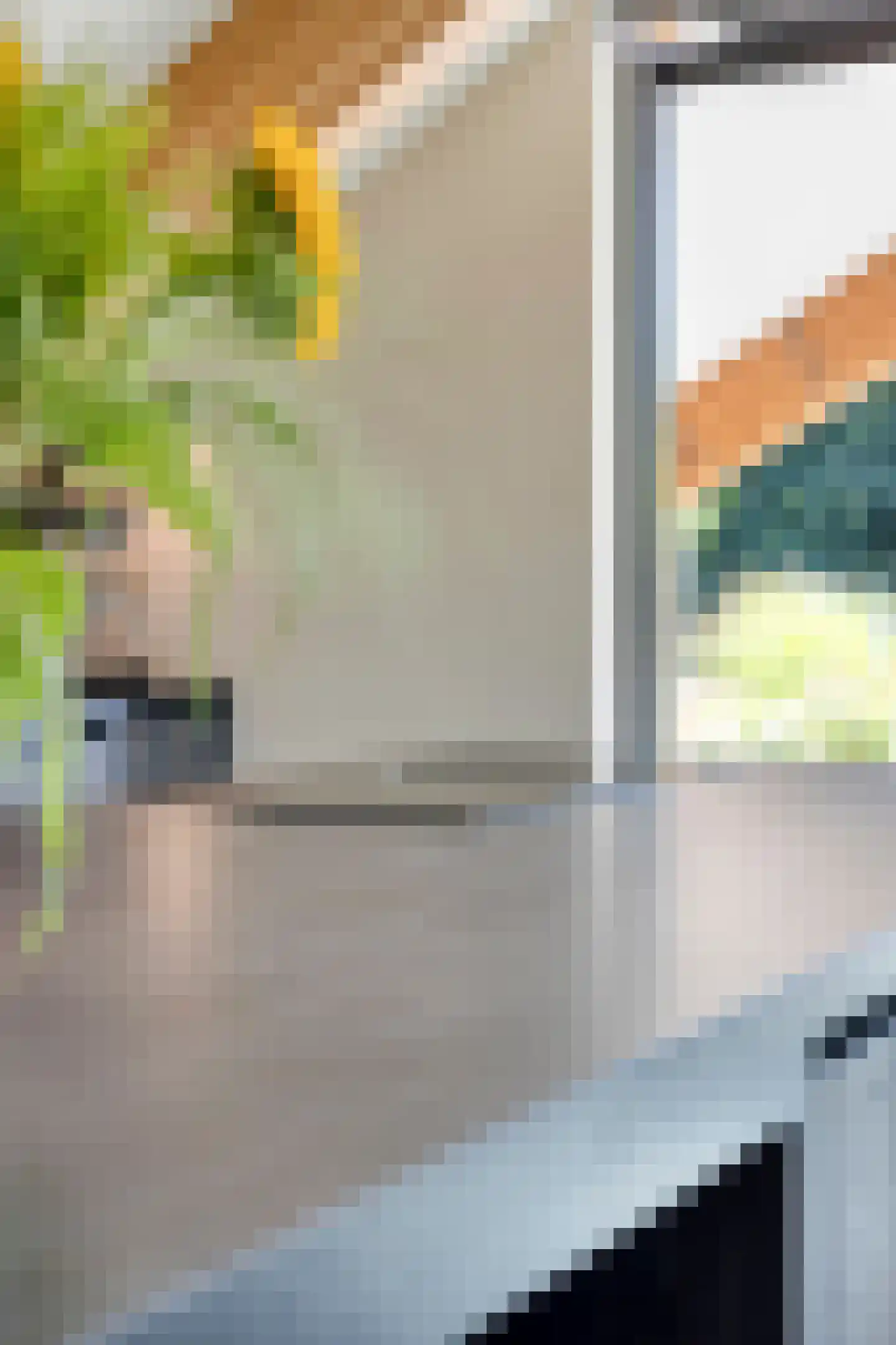 Kruigenstraat 12 B Veghel thumbnail 29