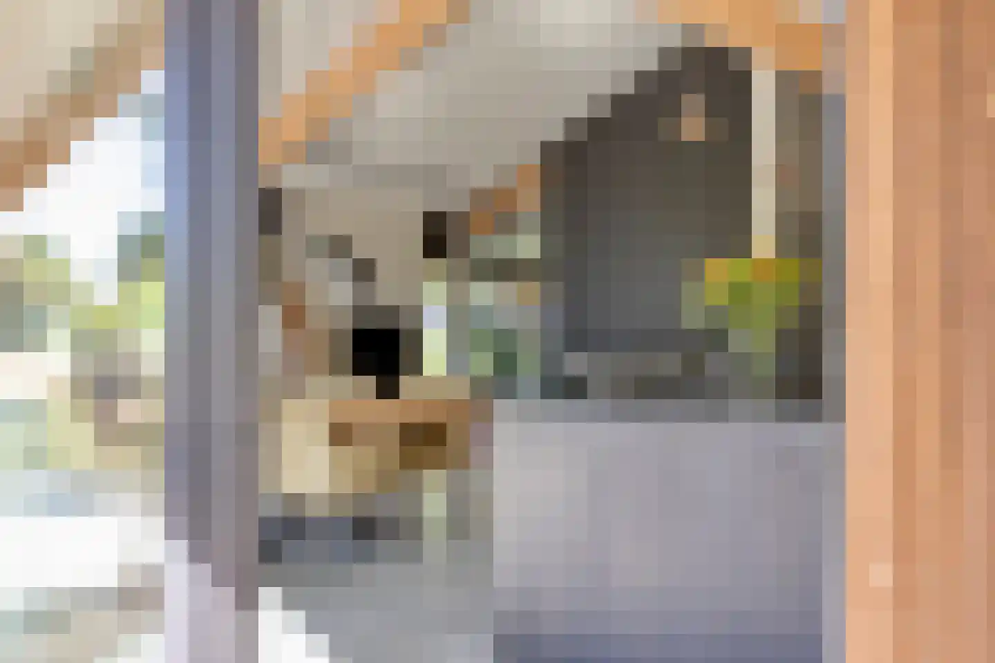 Kruigenstraat 12 B Veghel thumbnail 32