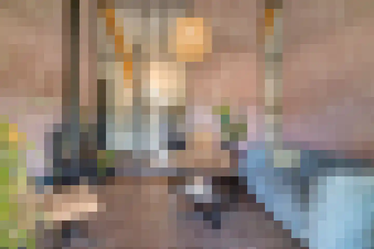 Kruigenstraat 12 B Veghel thumbnail 35