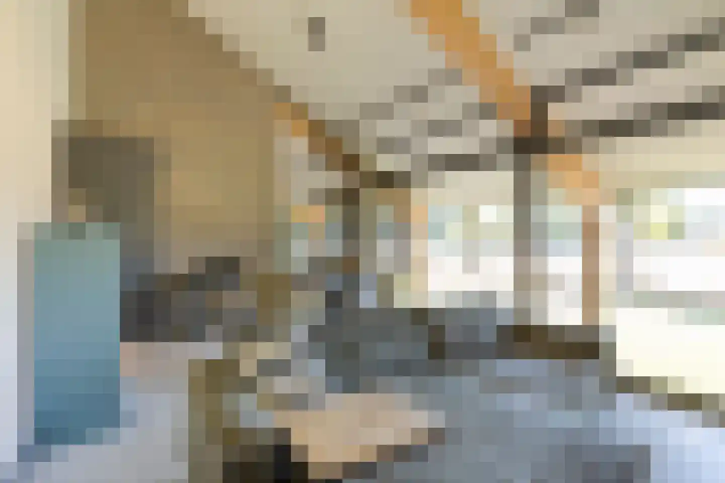 Kruigenstraat 12 B Veghel thumbnail 38