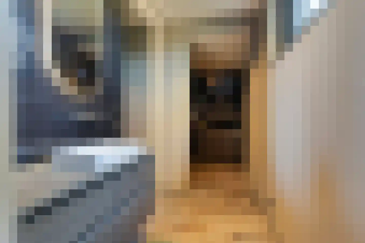 Kruigenstraat 12 B Veghel thumbnail 45
