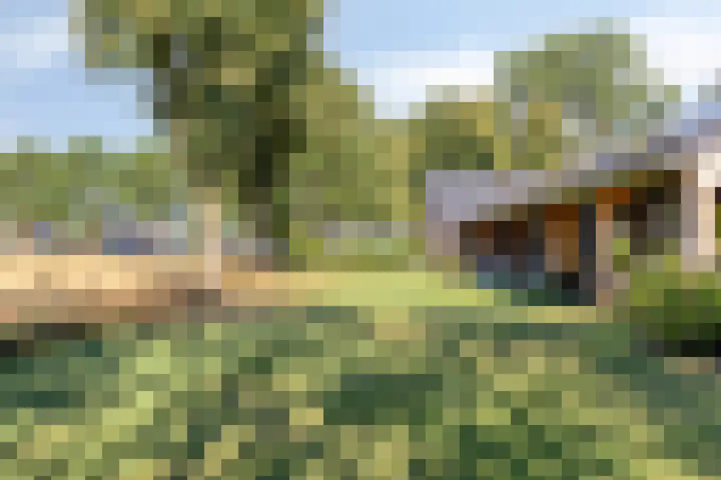 Kruigenstraat 12 B Veghel thumbnail 70