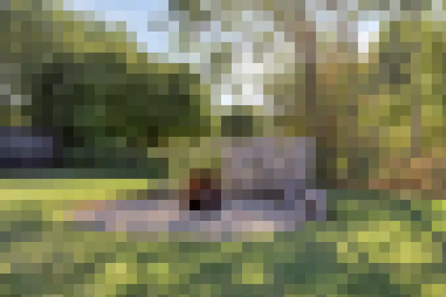 Kruigenstraat 12 B Veghel thumbnail 72