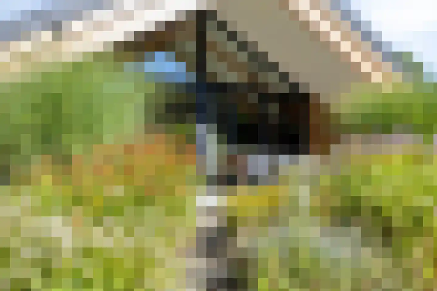 Kruigenstraat 12 B Veghel thumbnail 73