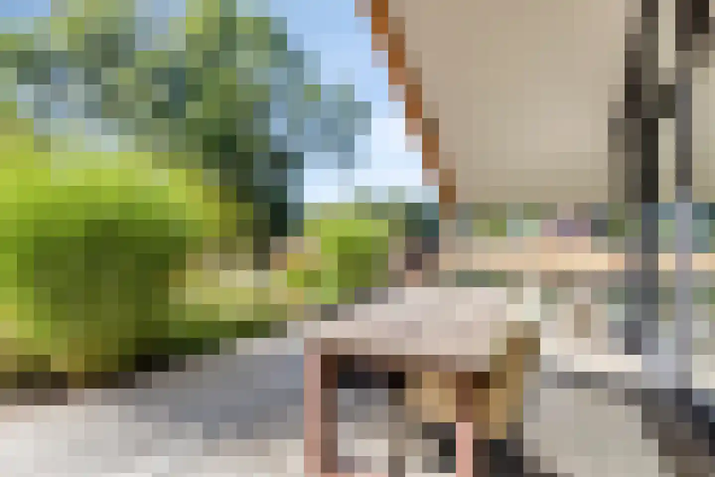 Kruigenstraat 12 B Veghel thumbnail 74