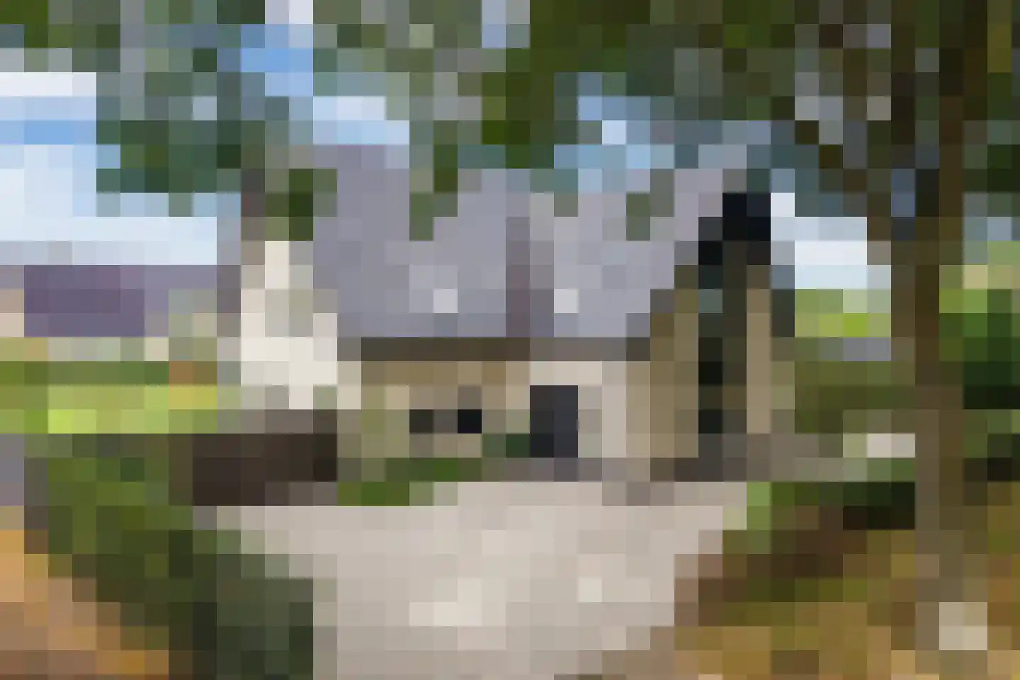 Kruigenstraat 33 Veghel thumbnail 10