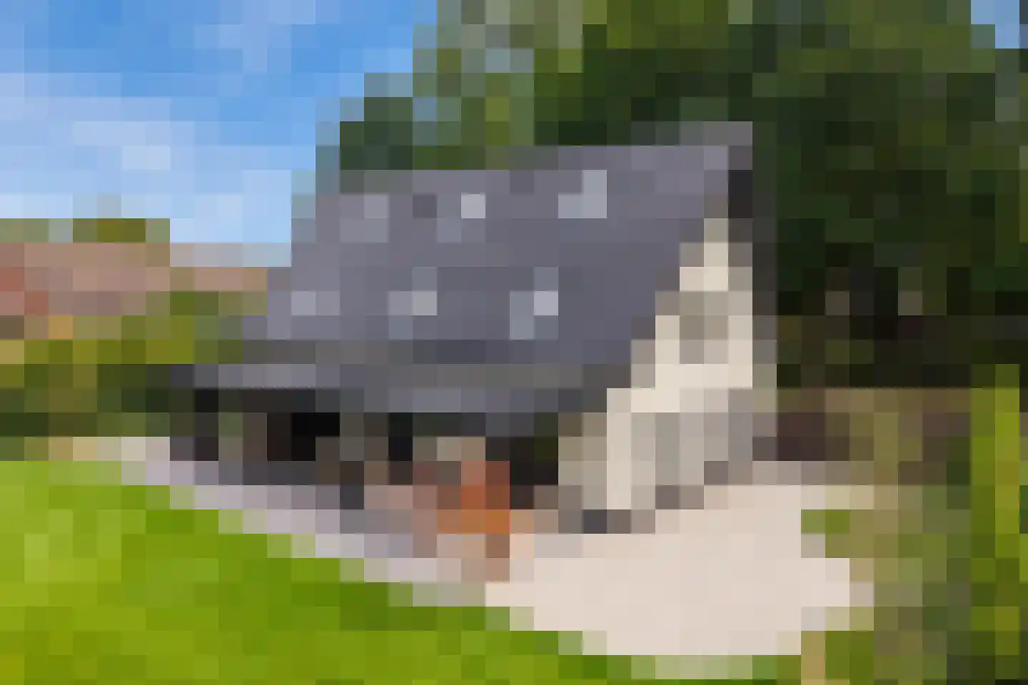 Kruigenstraat 33 Veghel thumbnail 101