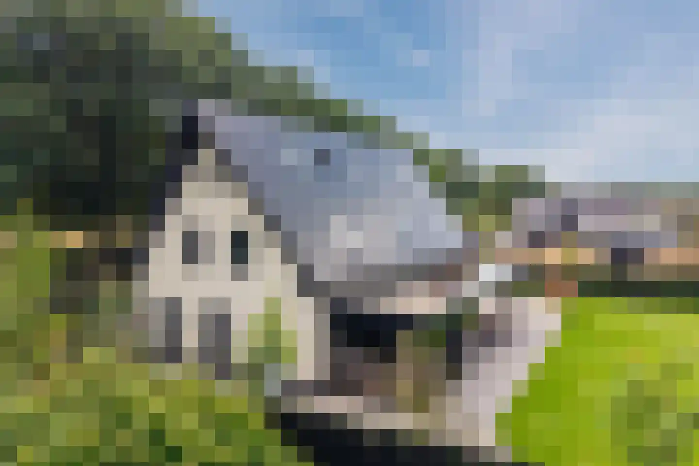 Kruigenstraat 33 Veghel thumbnail 102