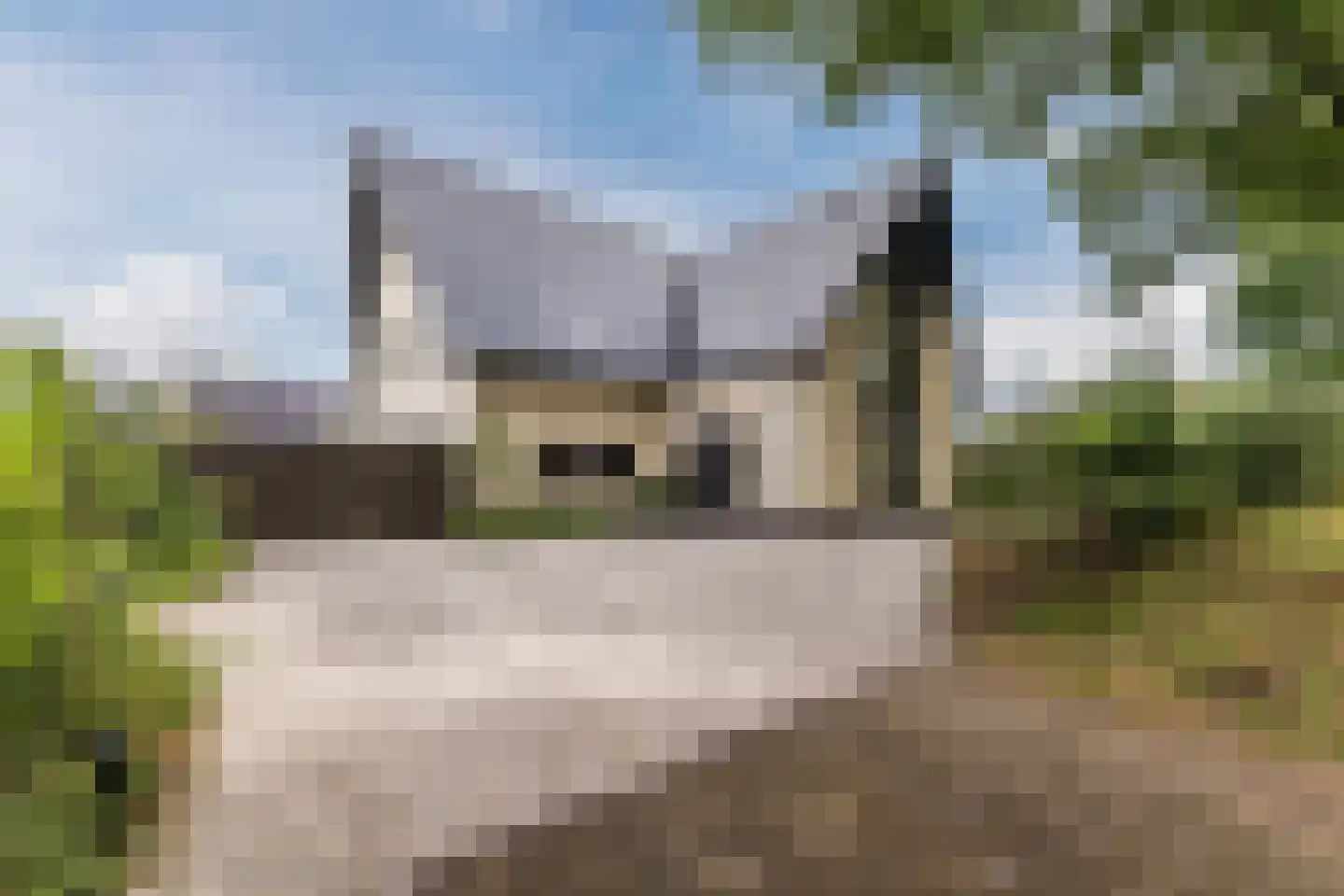 Kruigenstraat 33 Veghel thumbnail 12