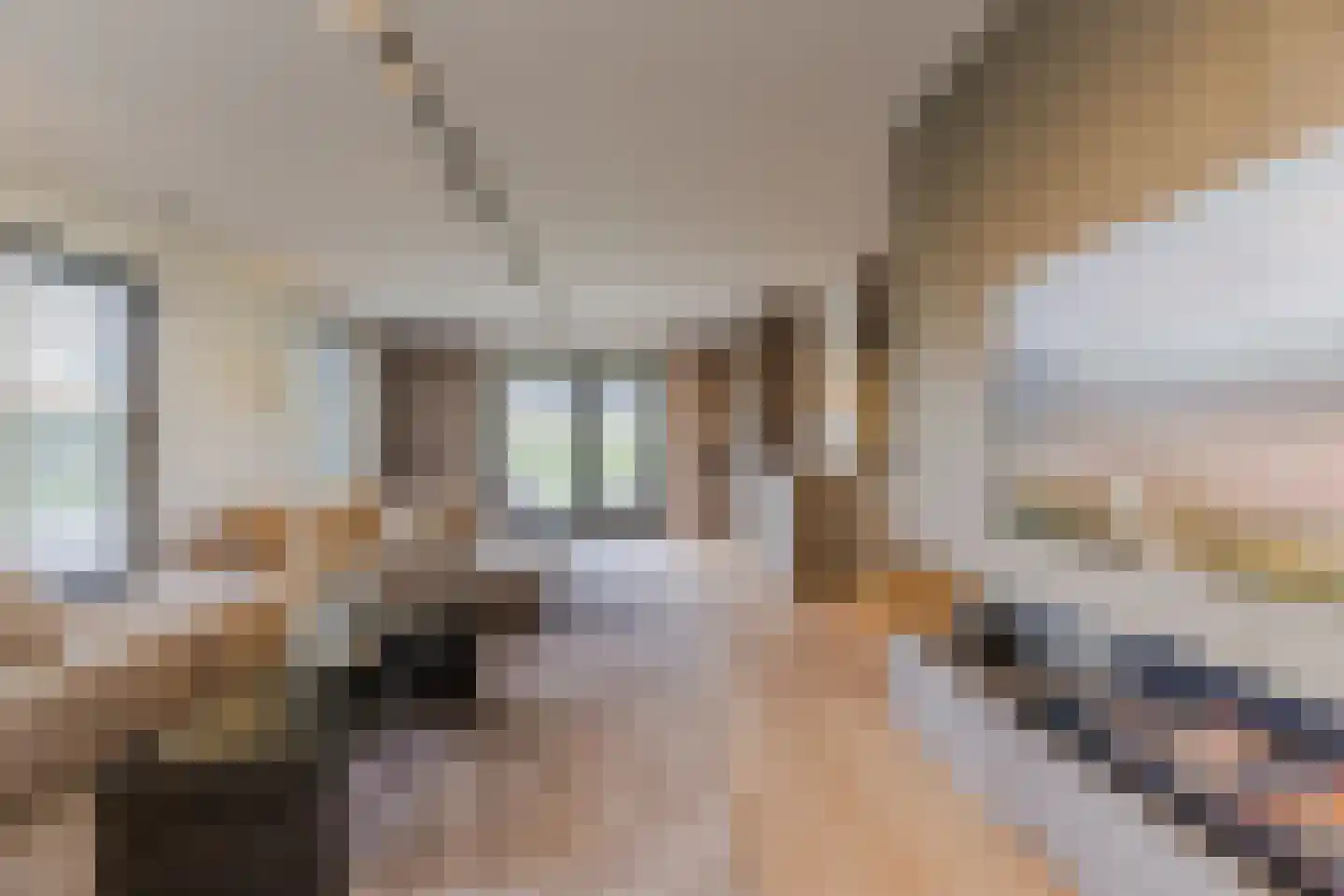 Kruigenstraat 33 Veghel thumbnail 21
