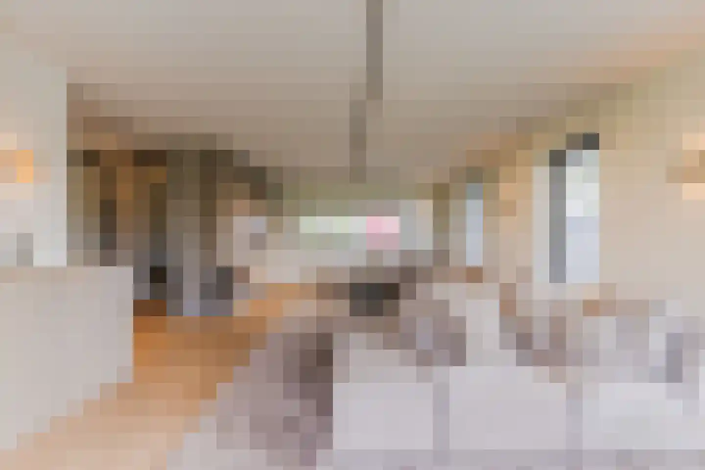 Kruigenstraat 33 Veghel thumbnail 23