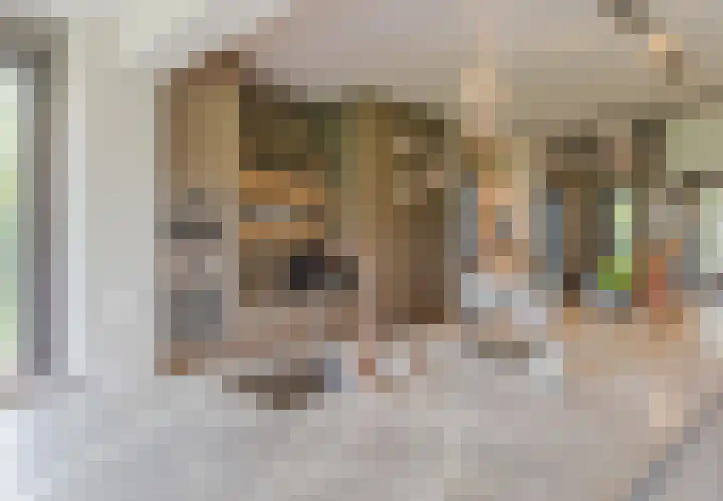 Kruigenstraat 33 Veghel thumbnail 38