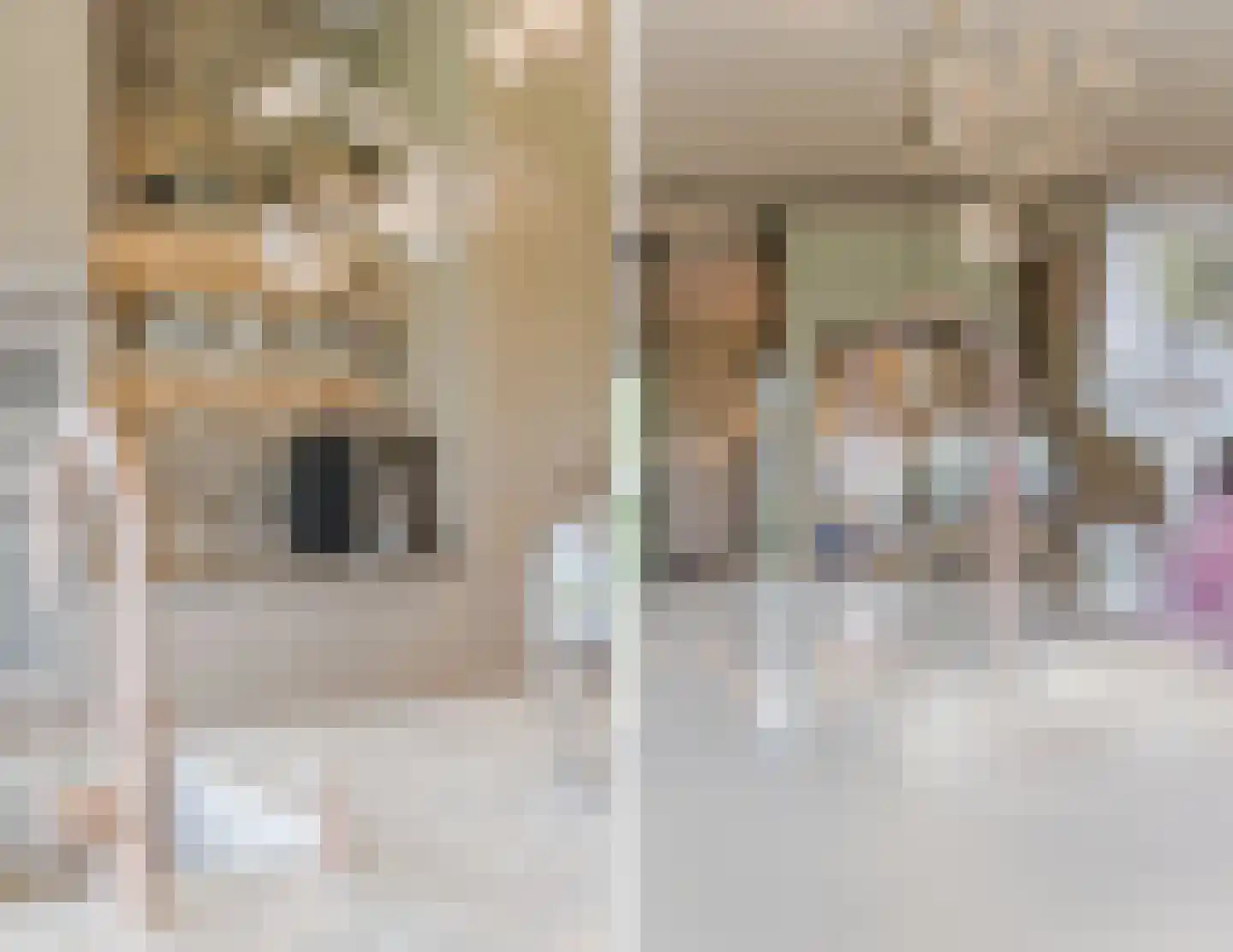 Kruigenstraat 33 Veghel thumbnail 39