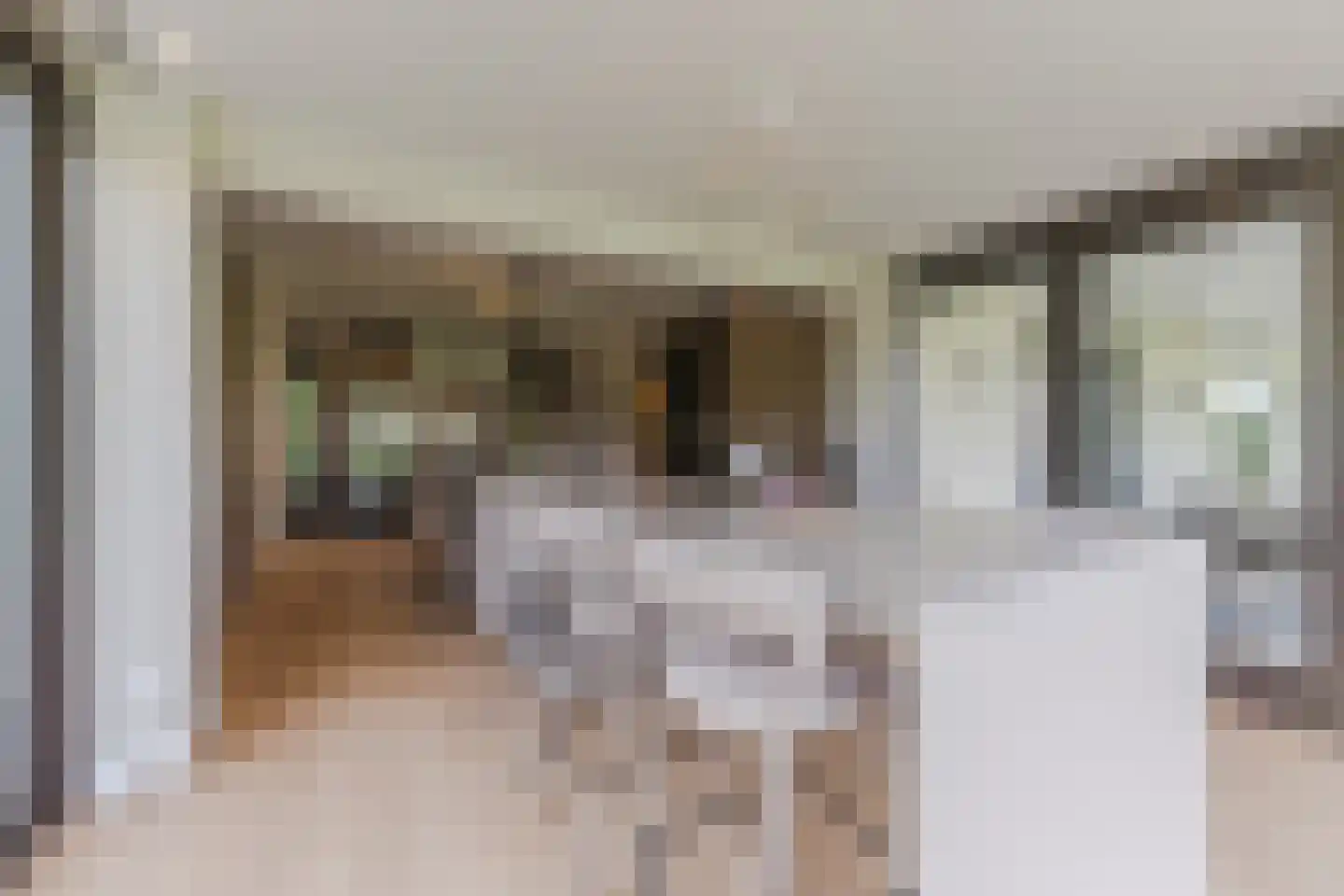 Kruigenstraat 33 Veghel thumbnail 5