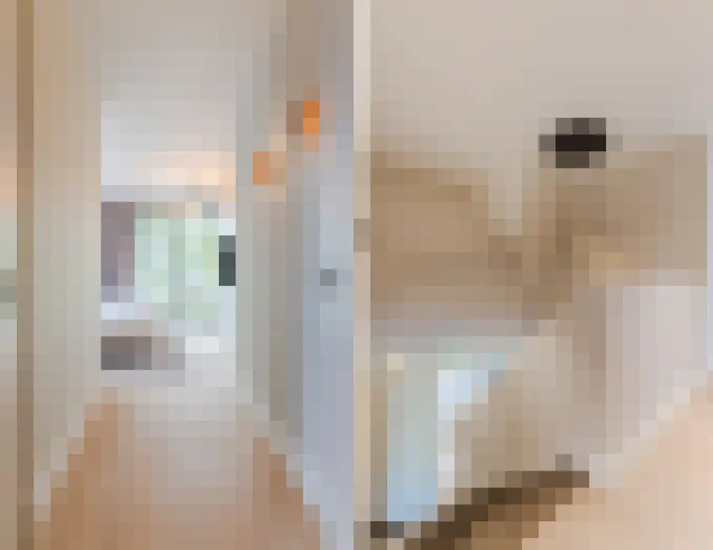 Kruigenstraat 33 Veghel thumbnail 53