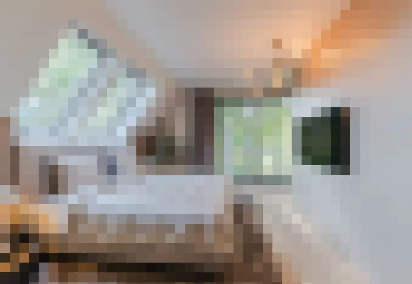 Kruigenstraat 33 Veghel thumbnail 54