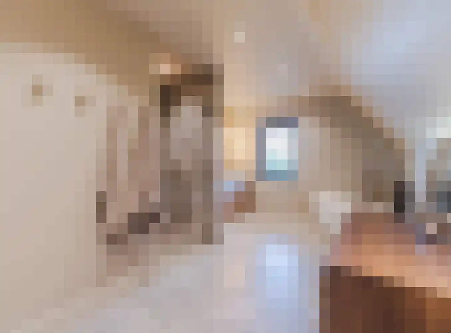 Kruigenstraat 33 Veghel thumbnail 62