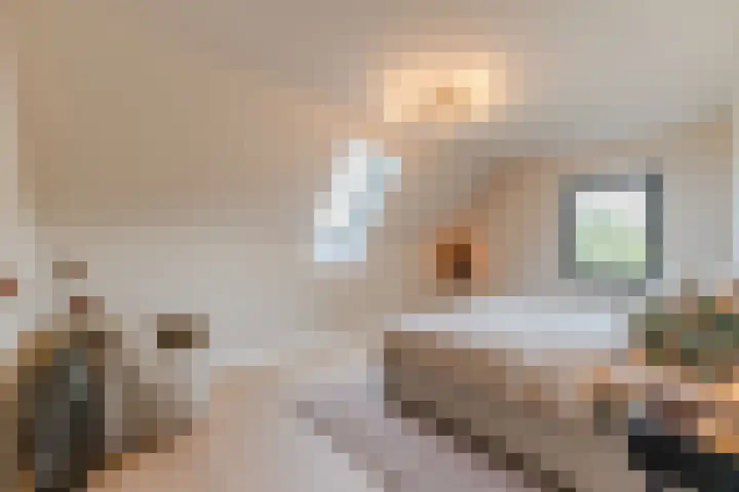 Kruigenstraat 33 Veghel thumbnail 68
