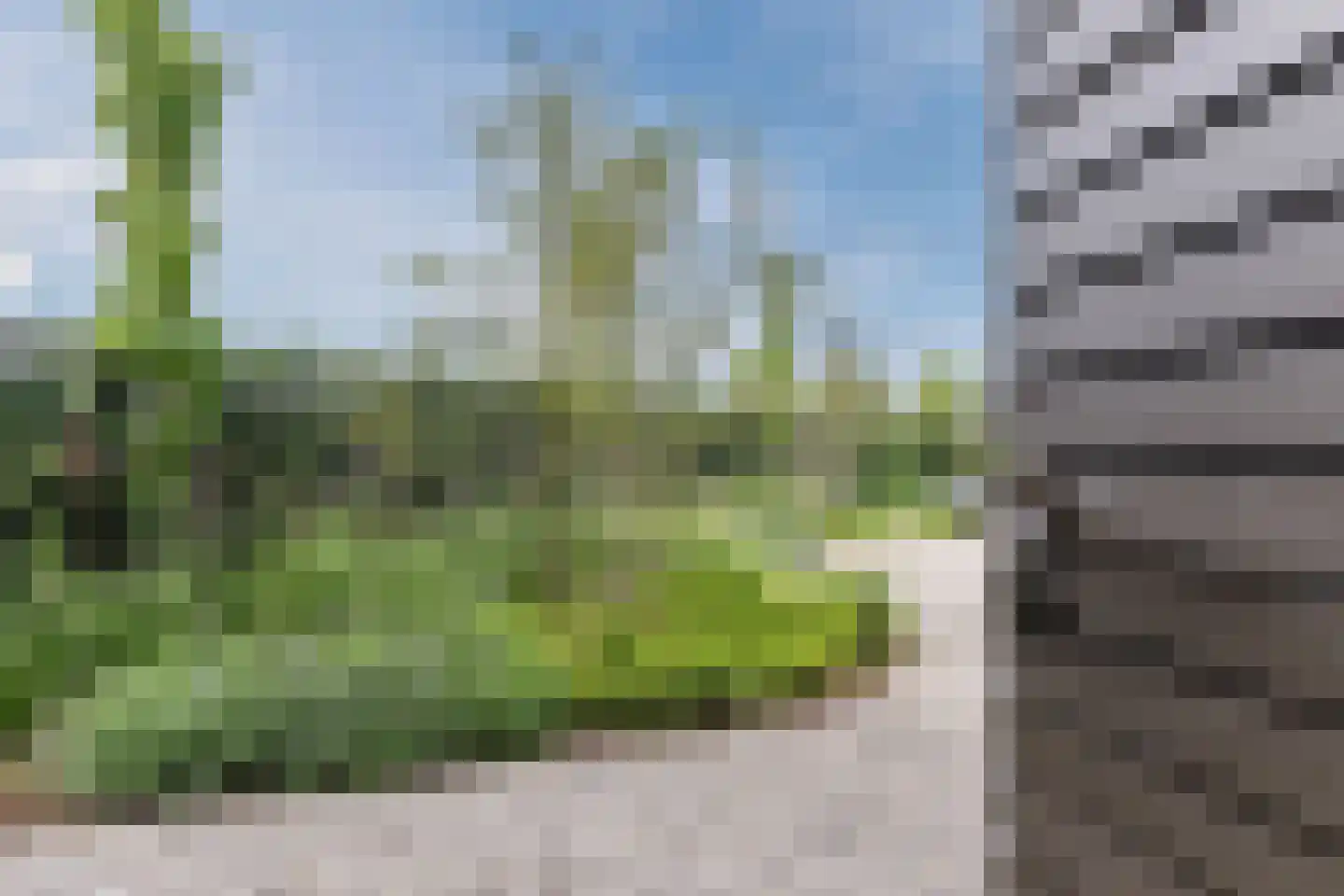 Kruigenstraat 33 Veghel thumbnail 91