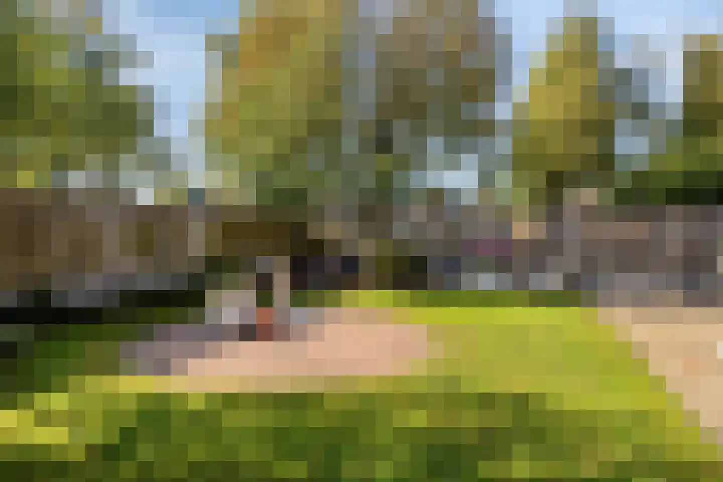 Kruijskamp 1 Oldenzaal thumbnail 31