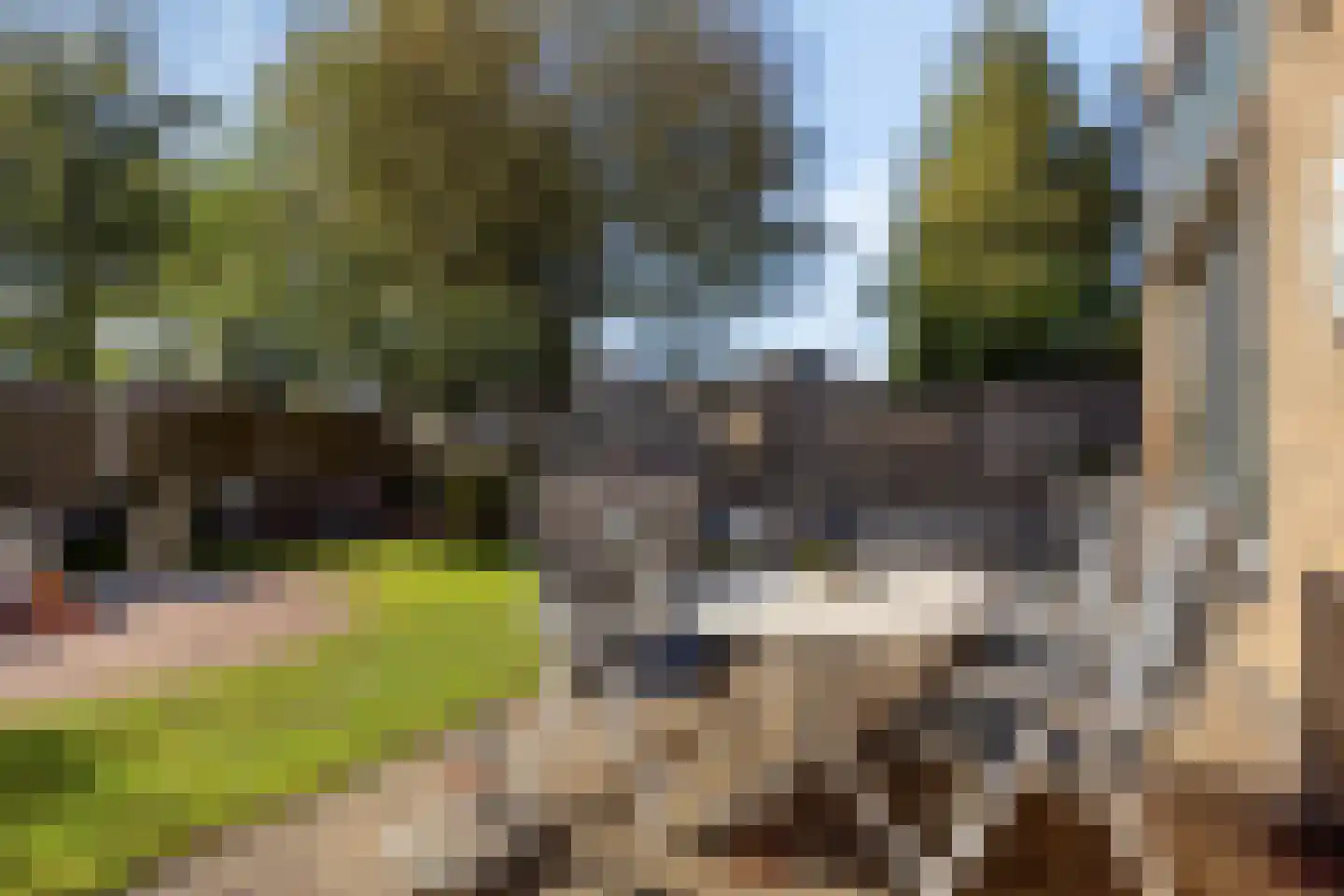 Kruijskamp 1 Oldenzaal thumbnail 32