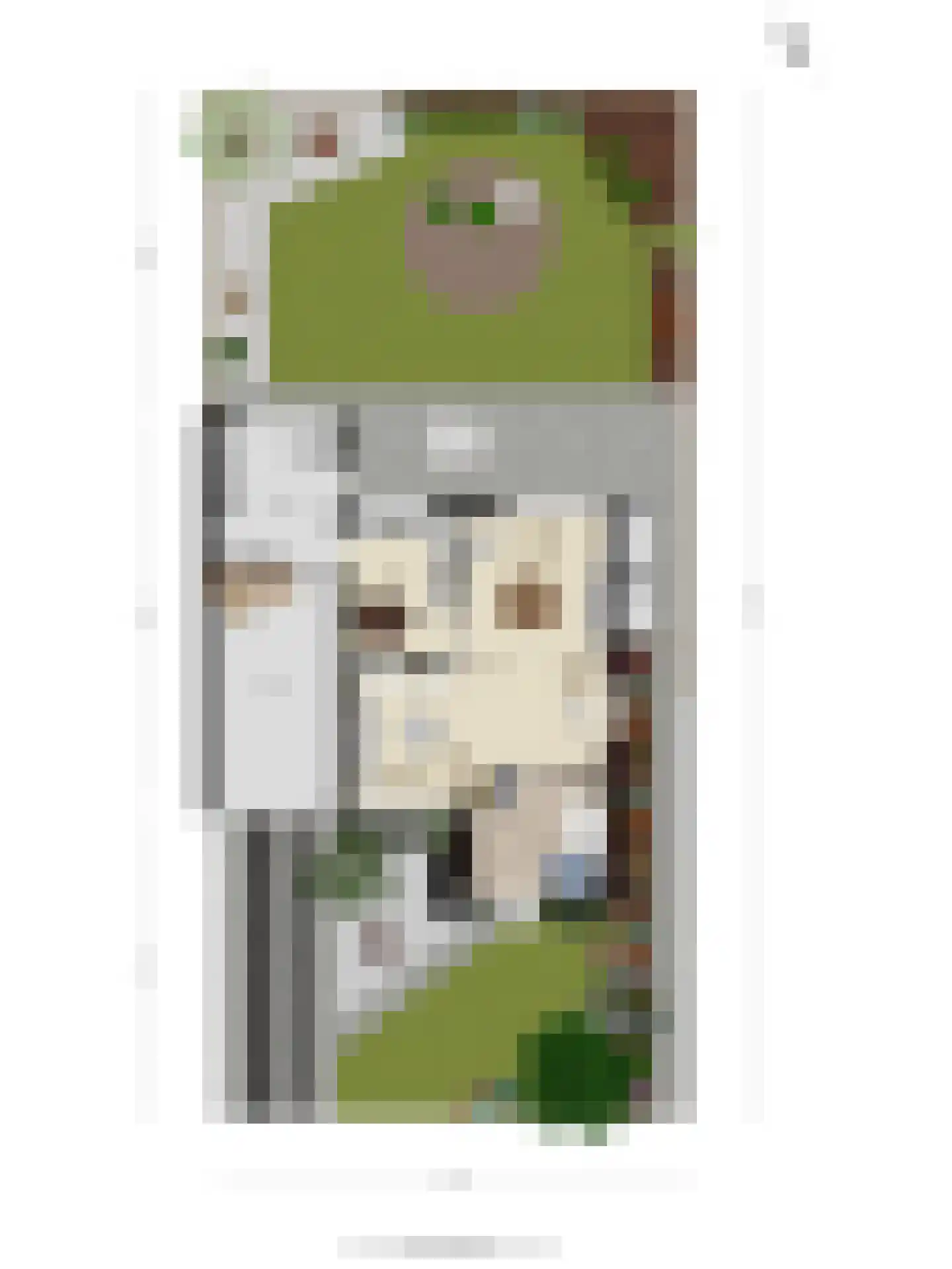 Kruijskamp 1 Oldenzaal thumbnail 39