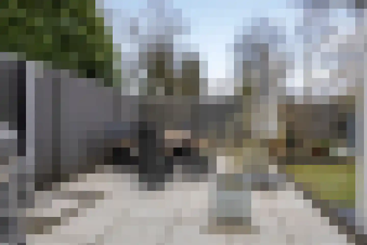 Kruijskamp 37 Oldenzaal thumbnail 42