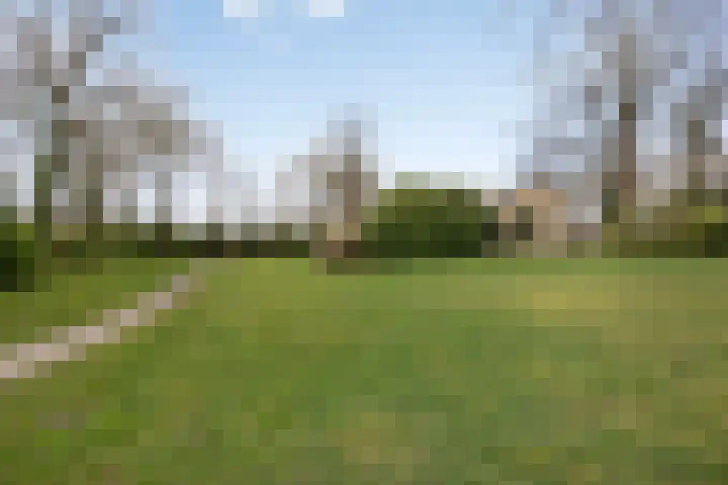 Kruijskamp 37 Oldenzaal thumbnail 45