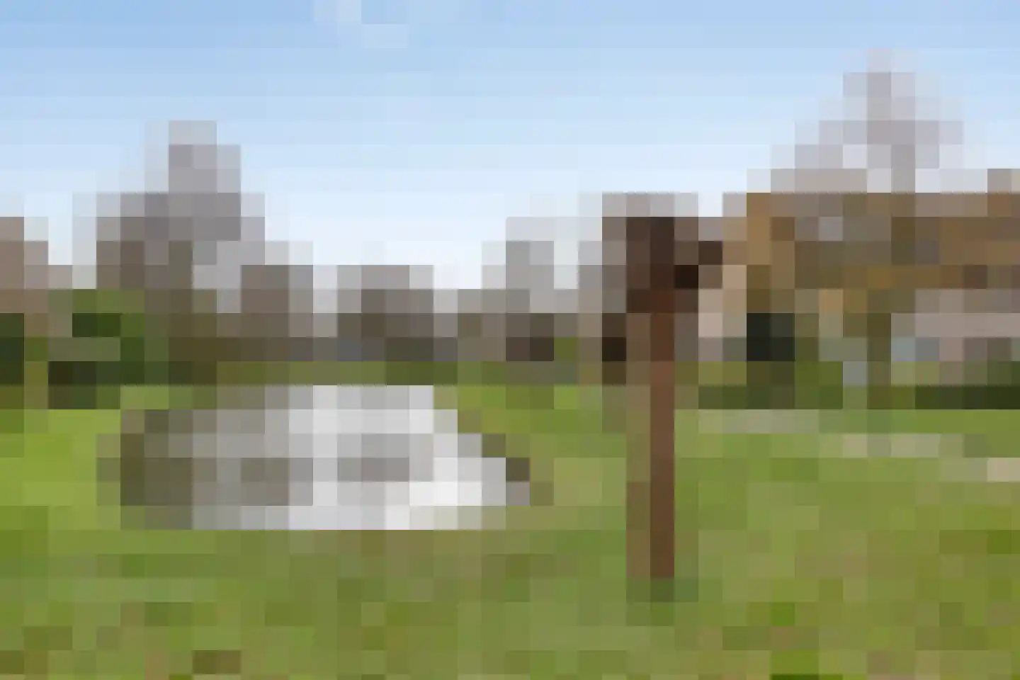 Kruijskamp 37 Oldenzaal thumbnail 46