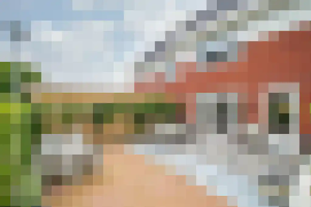 Kruilier 17 Moerkapelle thumbnail 11