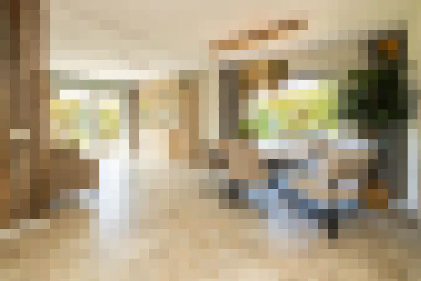 Kruilier 2 Wateringen thumbnail 10