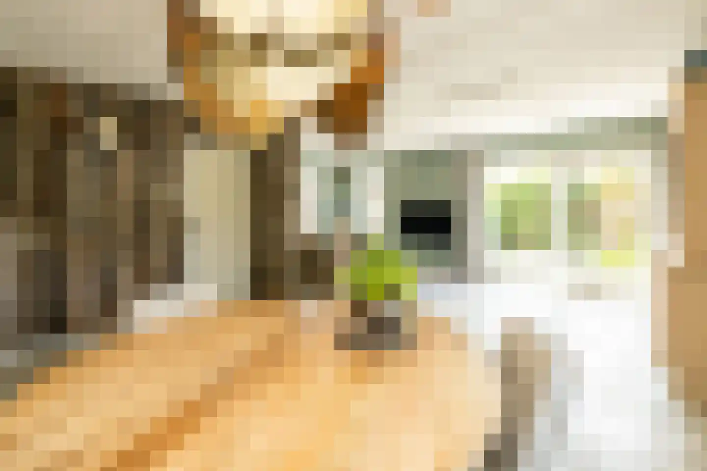 Kruilier 2 Wateringen thumbnail 11
