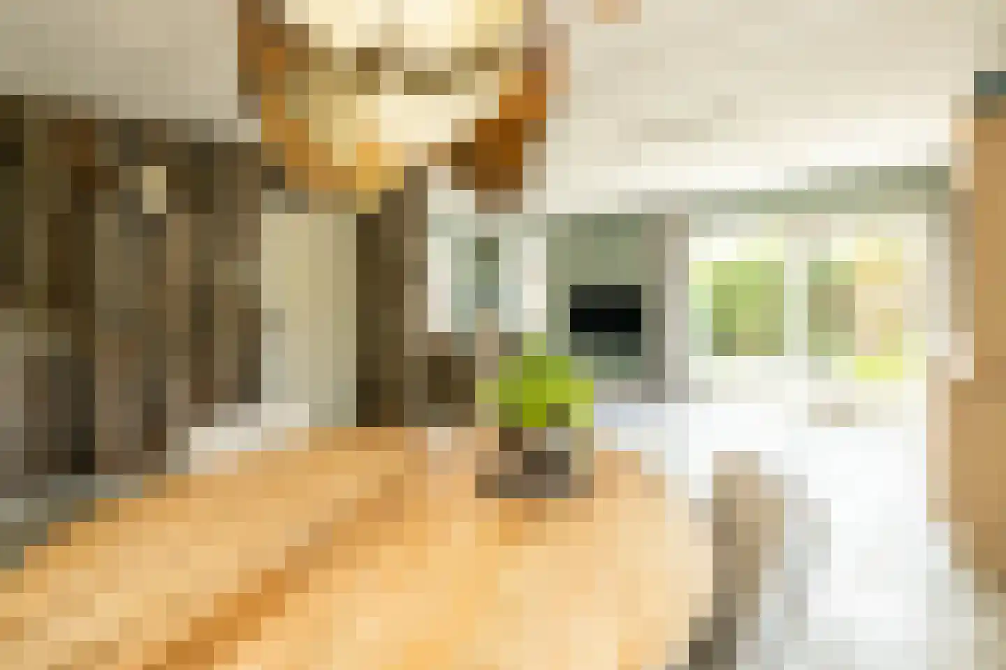 Kruilier 2 Wateringen thumbnail 12