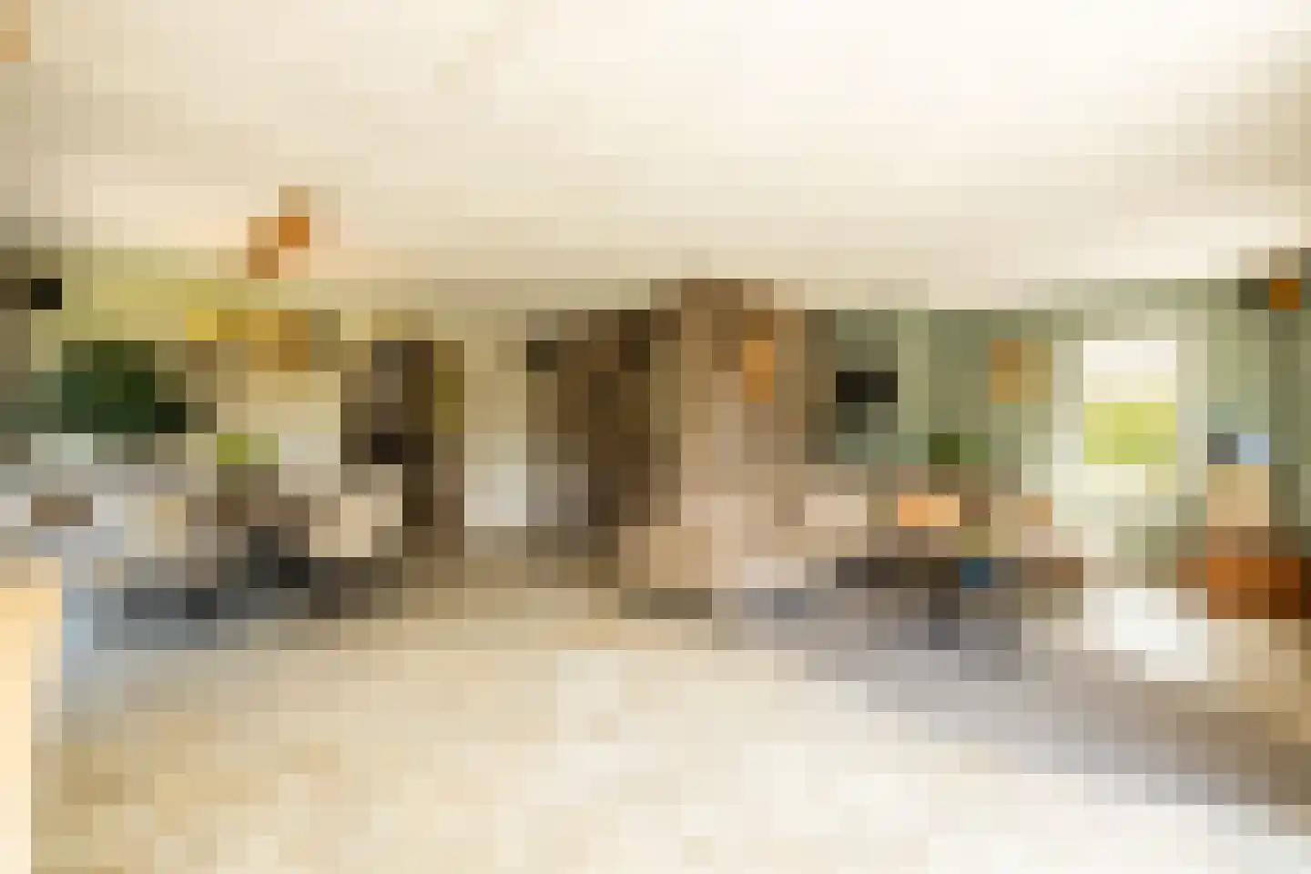 Kruilier 2 Wateringen thumbnail 13