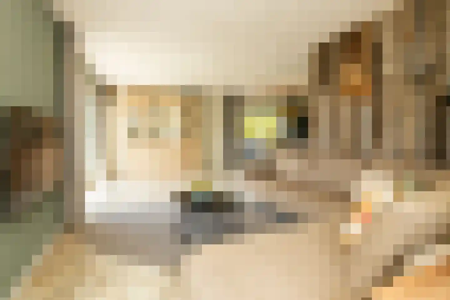 Kruilier 2 Wateringen thumbnail 14