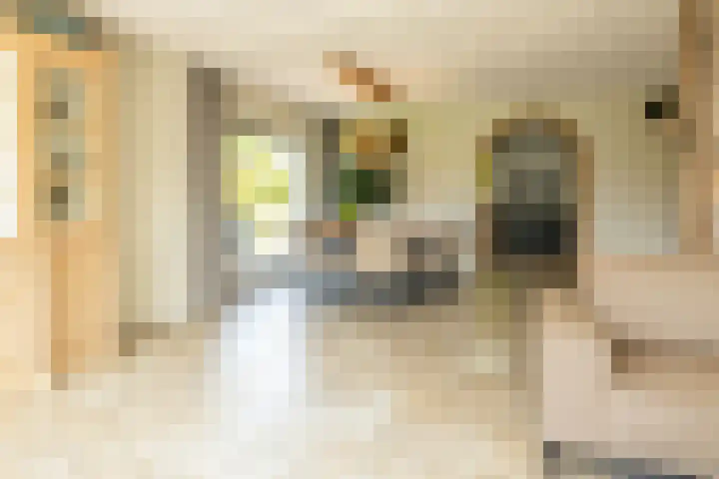 Kruilier 2 Wateringen thumbnail 15