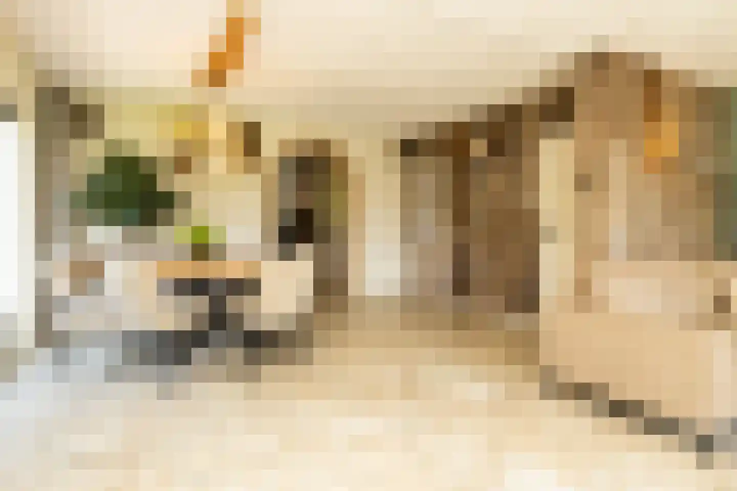 Kruilier 2 Wateringen thumbnail 16