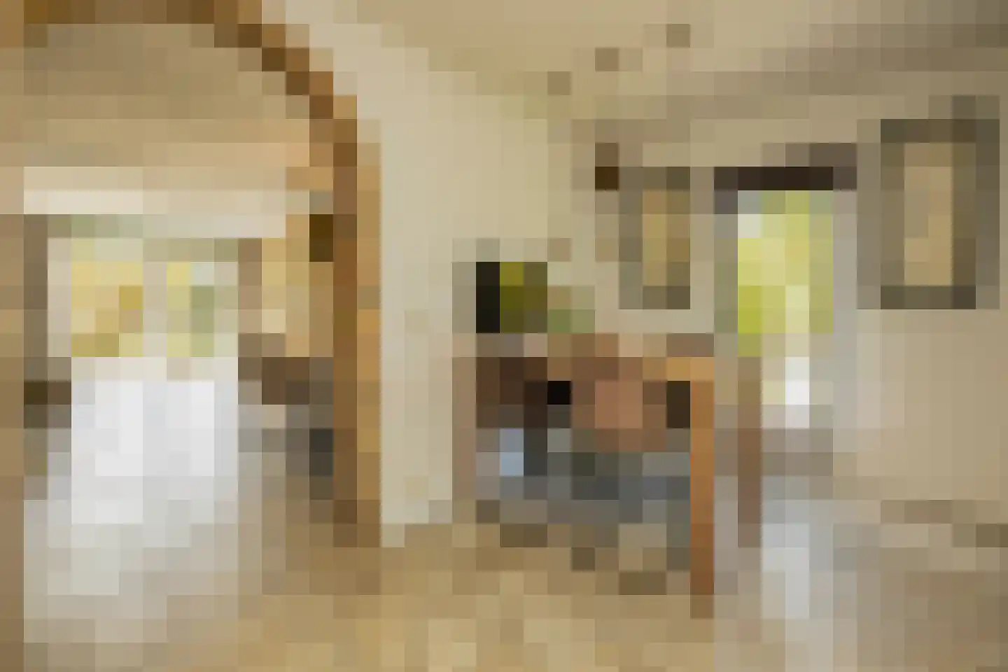 Kruilier 2 Wateringen thumbnail 18