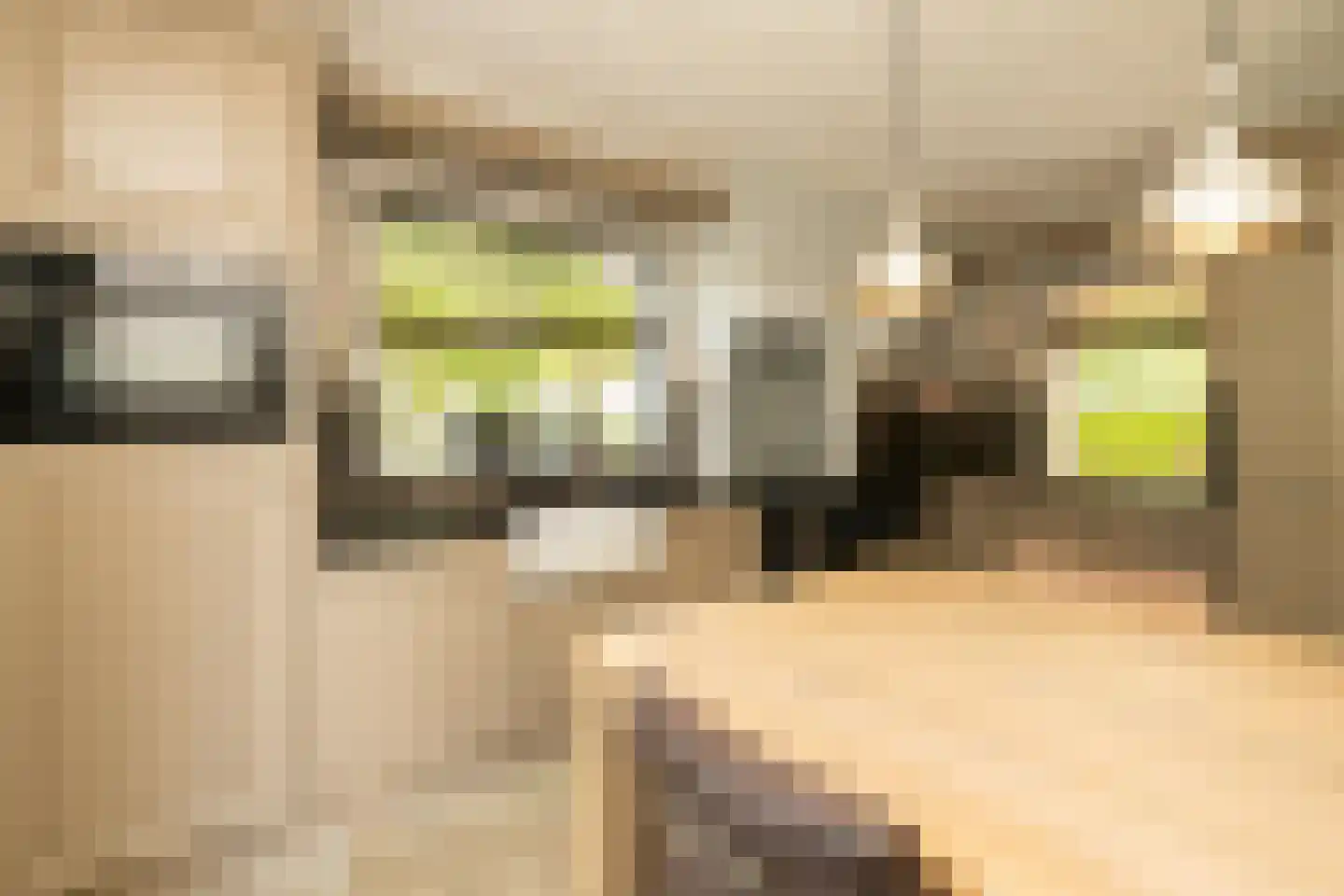 Kruilier 2 Wateringen thumbnail 19