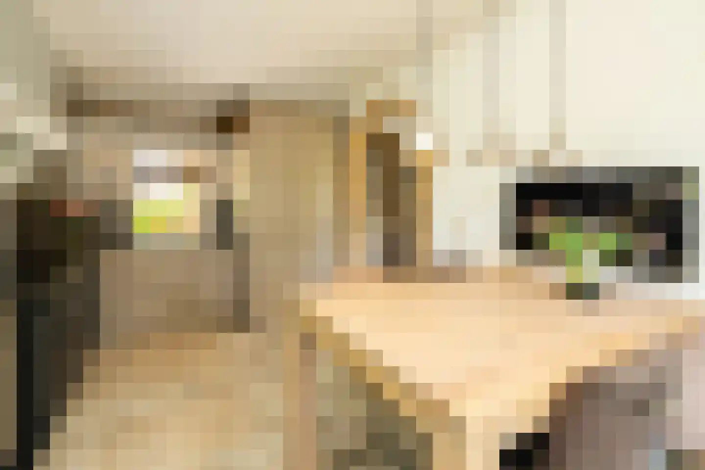 Kruilier 2 Wateringen thumbnail 20