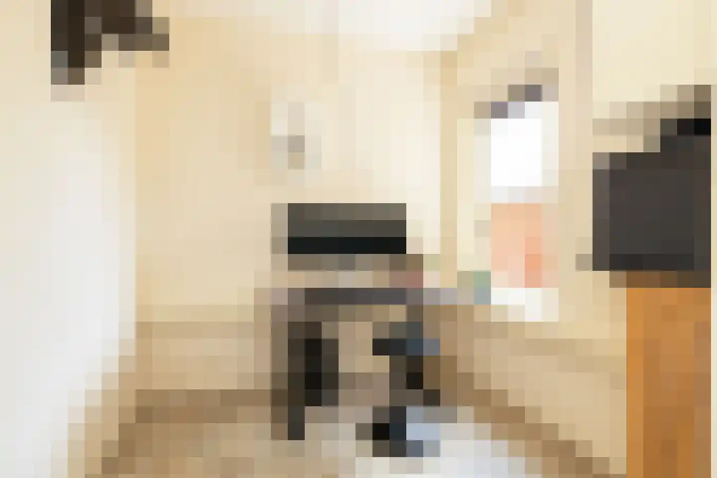 Kruilier 2 Wateringen thumbnail 21