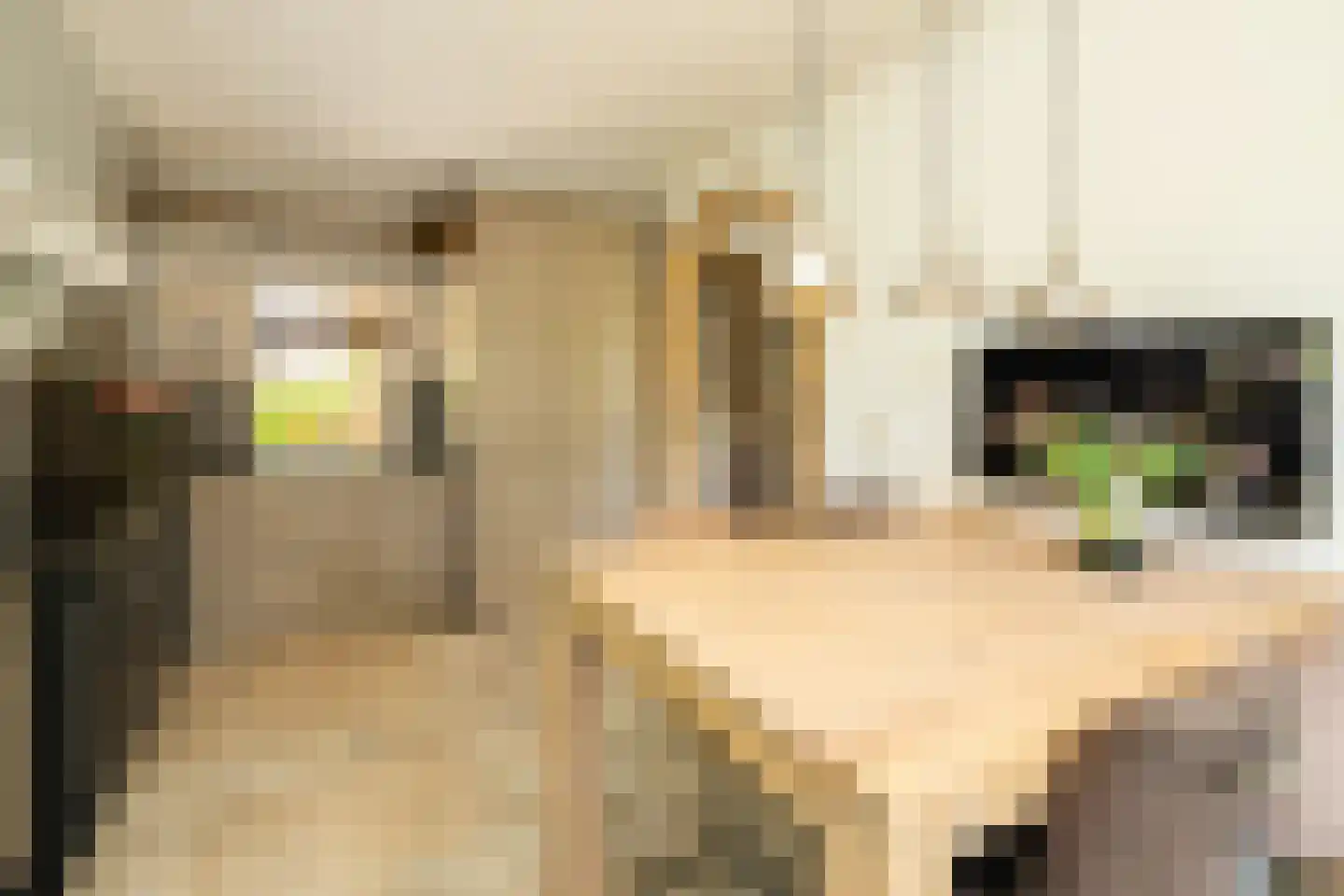 Kruilier 2 Wateringen thumbnail 21