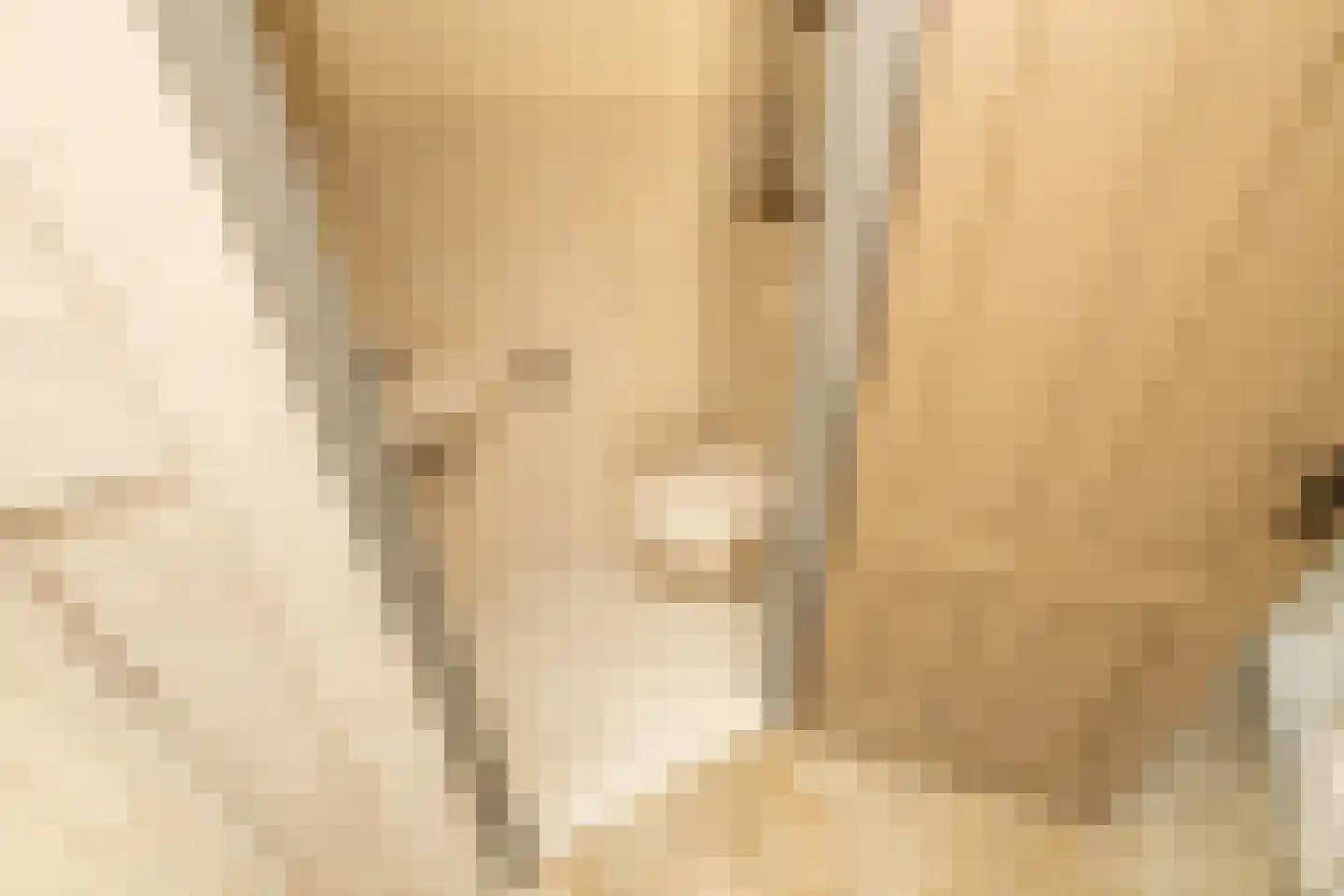 Kruilier 2 Wateringen thumbnail 22