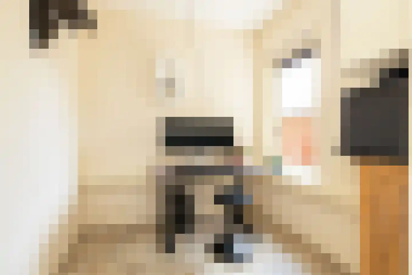 Kruilier 2 Wateringen thumbnail 22