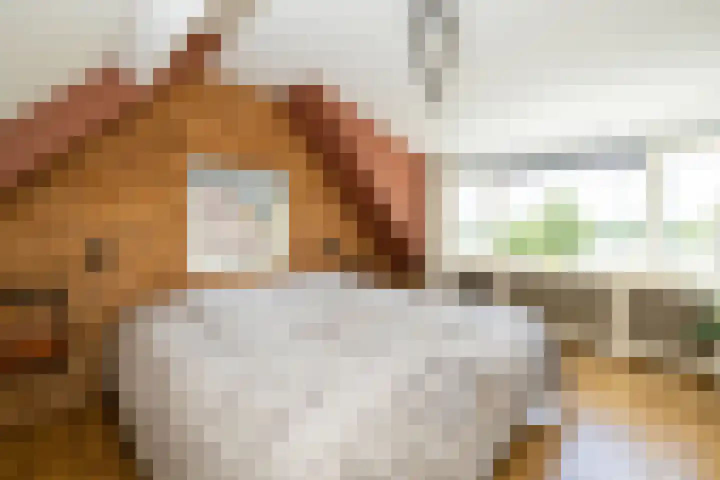 Kruilier 2 Wateringen thumbnail 24
