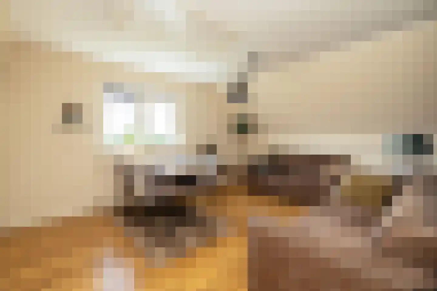 Kruilier 2 Wateringen thumbnail 30