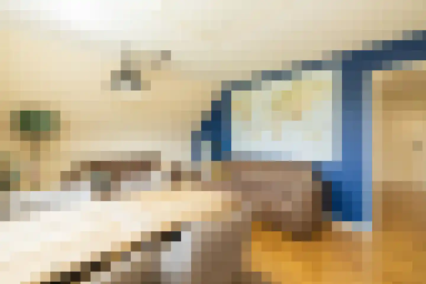 Kruilier 2 Wateringen thumbnail 31